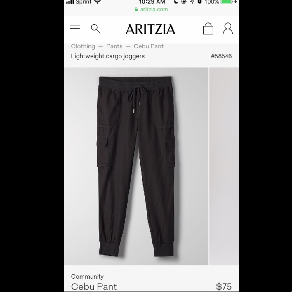 Aritzia cargo joggers